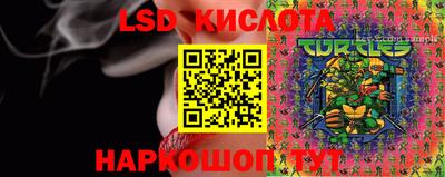 прущие грибы Берёзовский