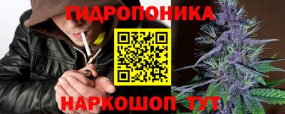 прущие грибы Берёзовский