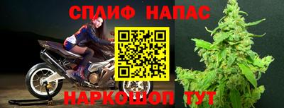 прущие грибы Берёзовский