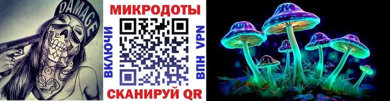 Галлюциногенные грибы Psilocybine cubensis  Богородск 